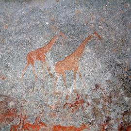 Nswatugi upper giraffe 2006.03.03.jpeg