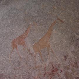 Nswatugi upper giraffe 2008.05.25 ex Jono Waters.jpeg