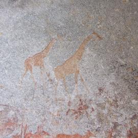 Nswatugi upper giraffe 2016.11.19.jpeg