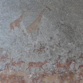 Nswatugi upper giraffe 2021.11.13 ex Jono Waters.jpeg