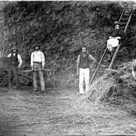 Chinese Workers at Kendenup, possibly 1870s