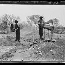 Shockley glass plate negative 04