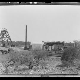 Shockley glass plate negative 05