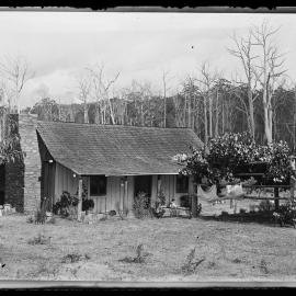 Shockley glass plate negative 07