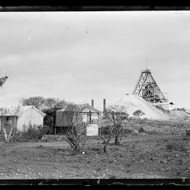 Shockley glass plate negative 11