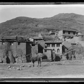 Shockley glass plate negative 14