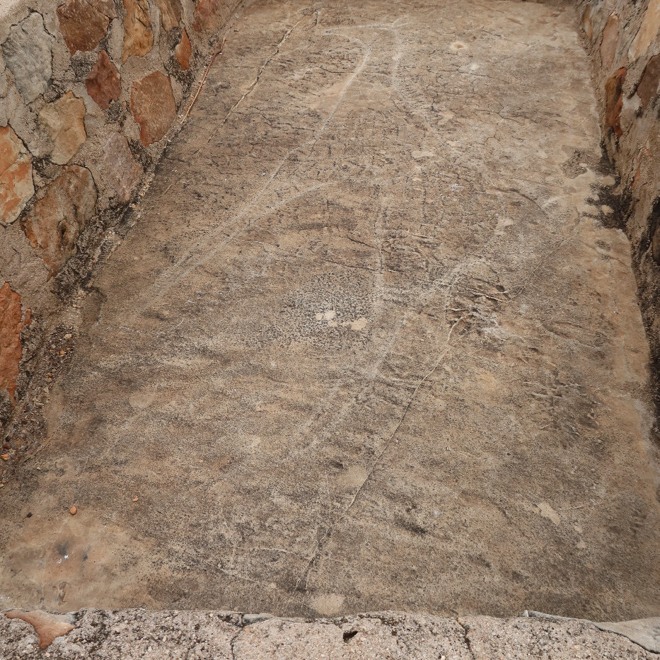 2129 D4 006 (Giraffe Petroglyph)