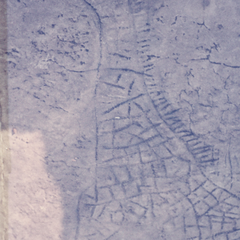 2129 D4 006 (Giraffe Petroglyph)