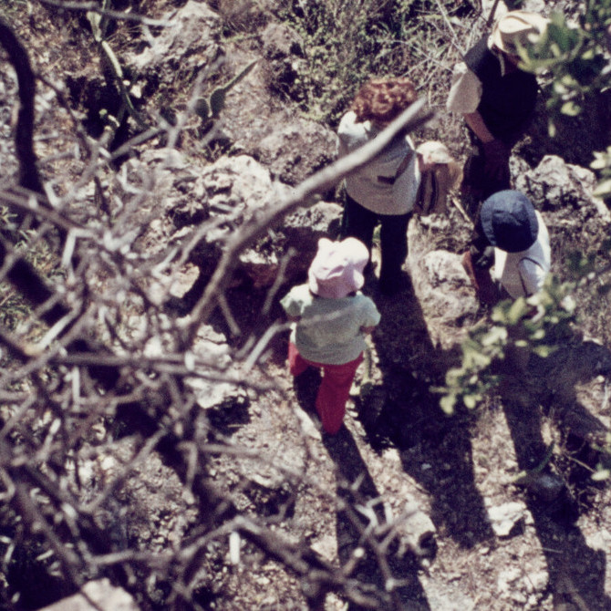 2028 D1 010 (Sibuntuli Ruin)