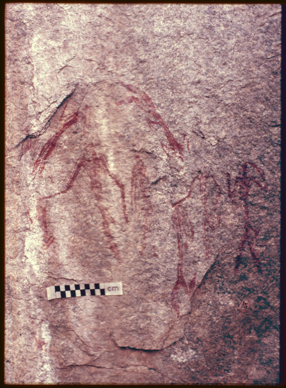 Photograph taken by Peter Genge in 1987