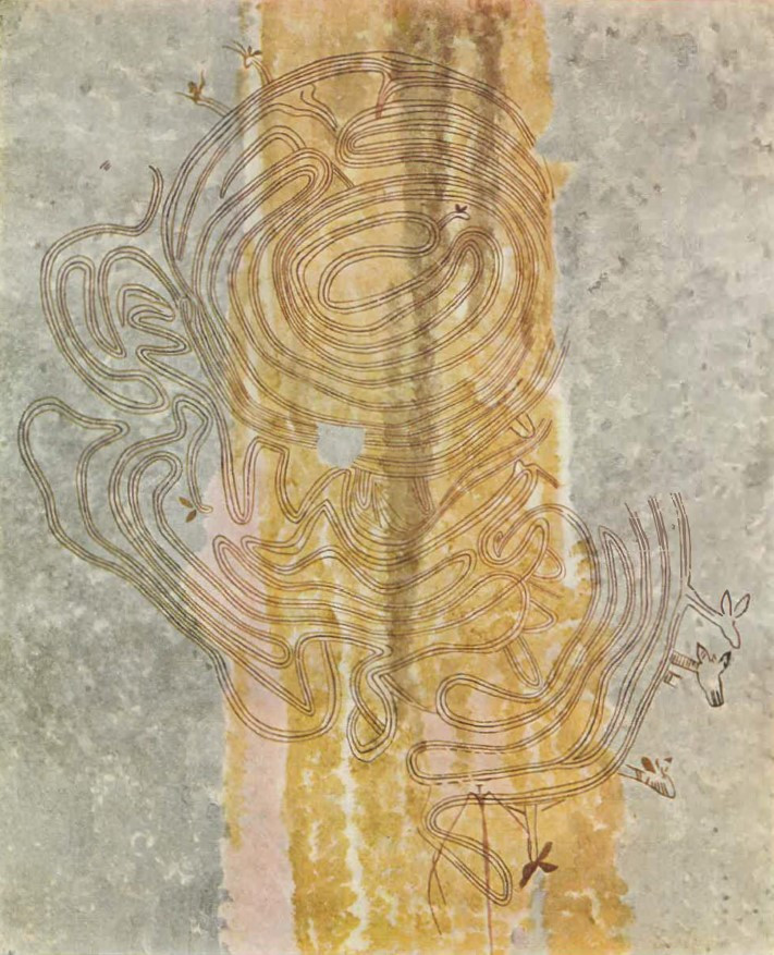 Redrawing of Muromo "maze" published by Elizabeth Goodall in 1959, Plate 59, page 108.