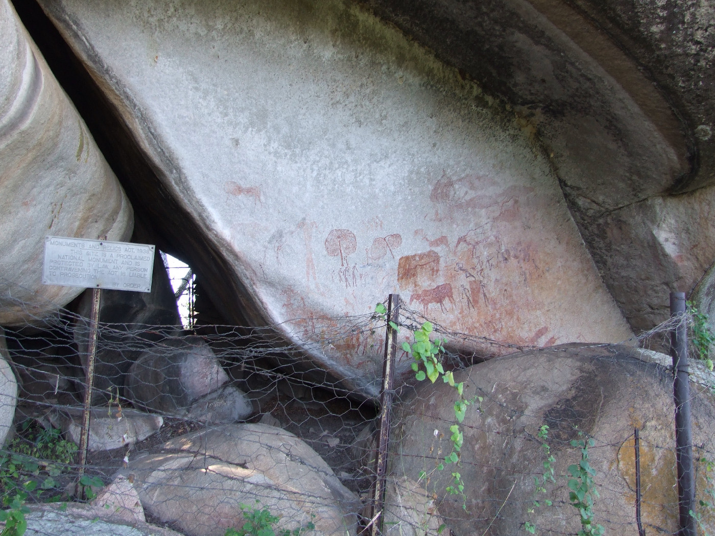 Bushman Point general site view (photographed by Rob Burrett in 2012)