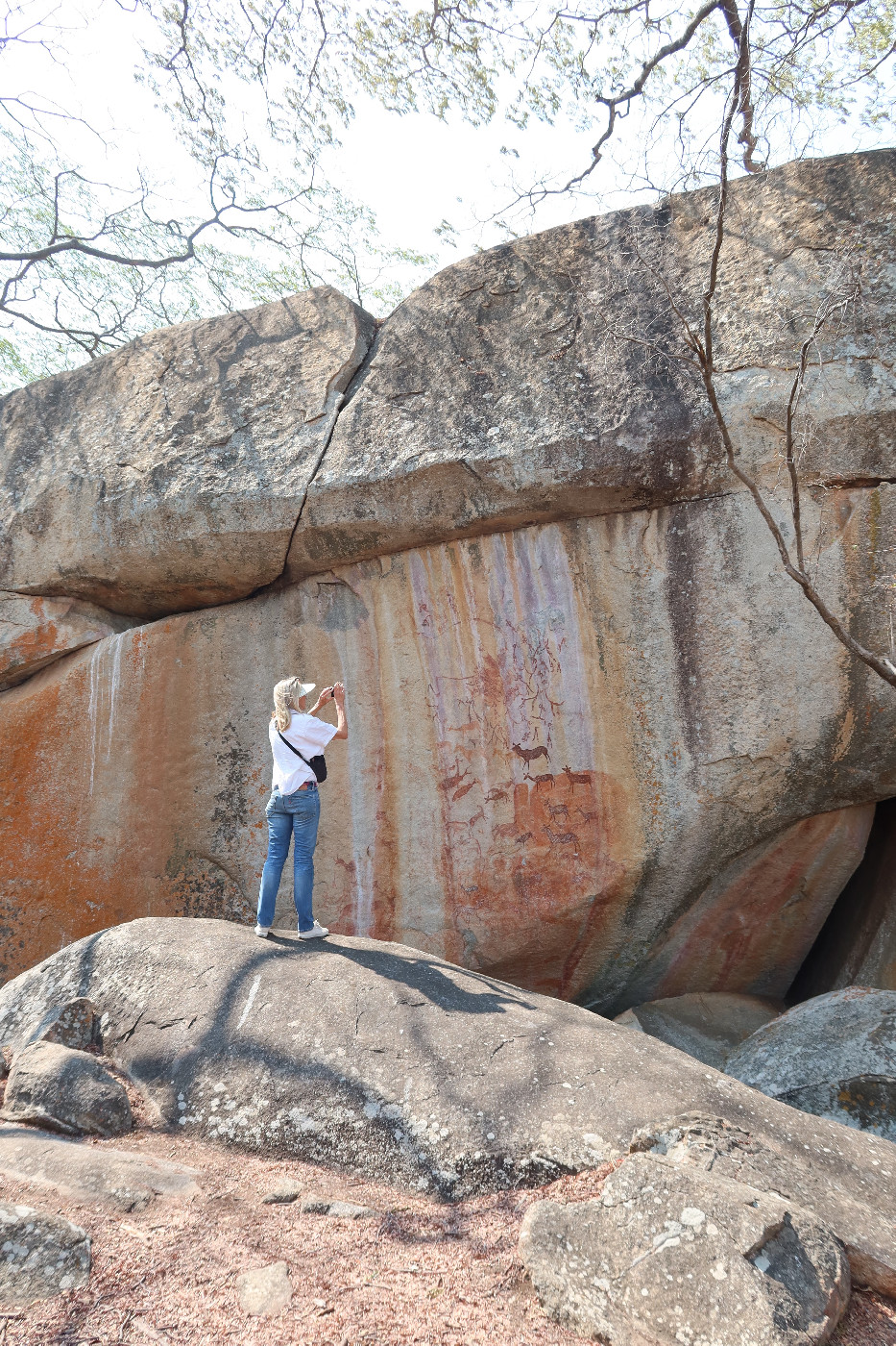 The main panel of rock art at Kentucky Farm (photographed by Rob Burrett in 2022)