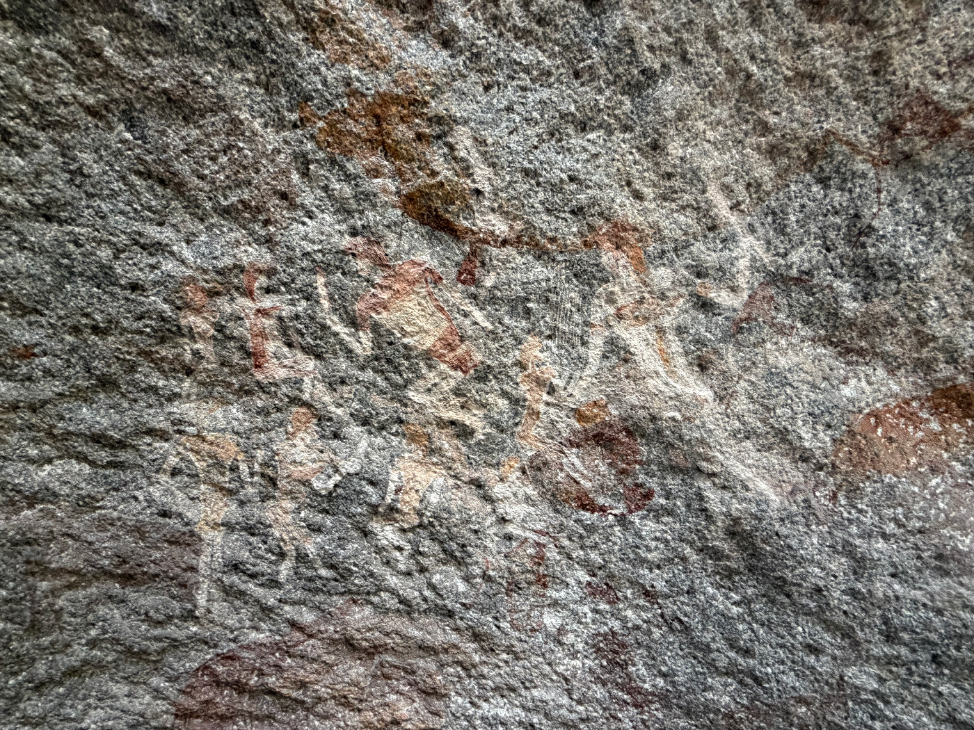 The infamous panel of human figures from Dandabari, one of the most debated panels of art in southern Africa (photographed by Leigh Marymor in 2026)