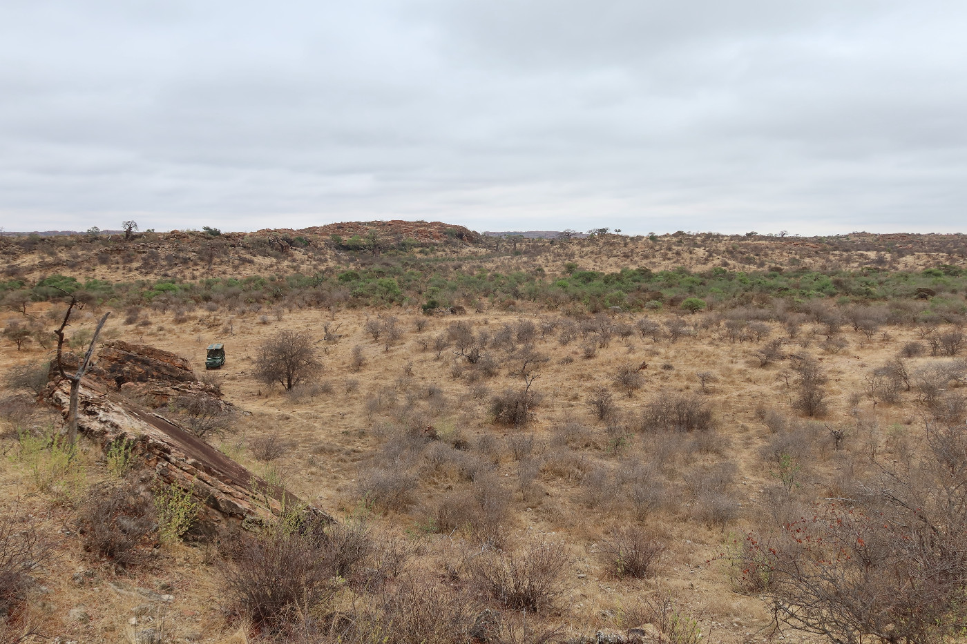 General view of the Sentinel archaeological landscape (photograph by Rob Burrett in 2020)