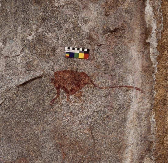 2028 A4 041 (Woody's Wonder)