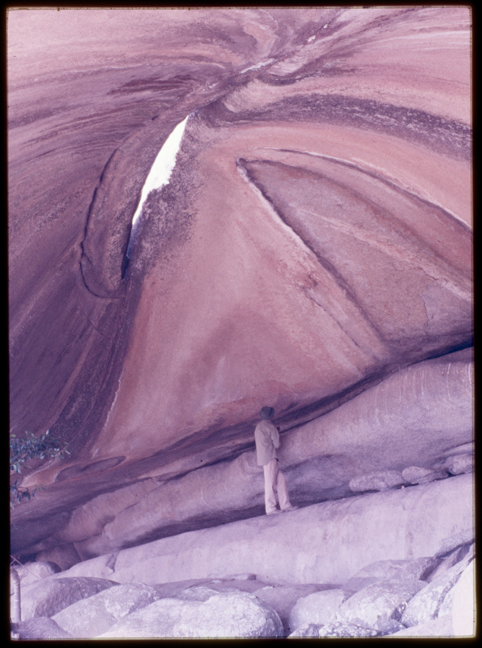 View of site in July 1987. Photograph by Peter Genge.