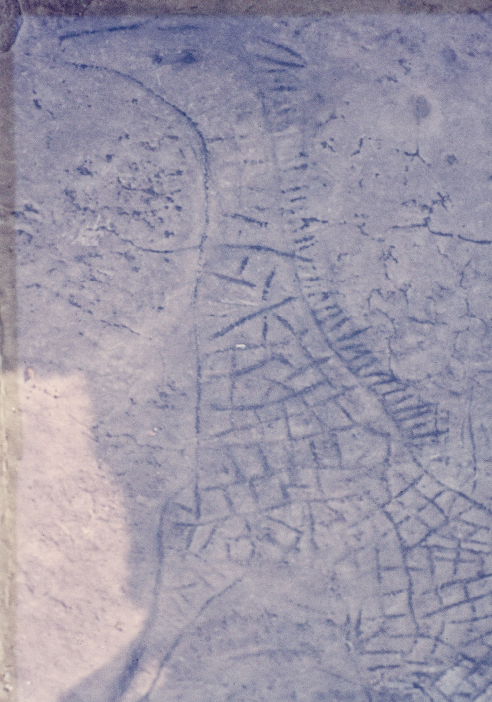 2129 D4 006 (Giraffe Petroglyph)