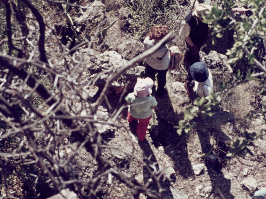 2028 D1 010 (Sibuntuli Ruin)